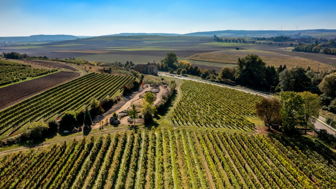 Eckelsheimer Kirchberg