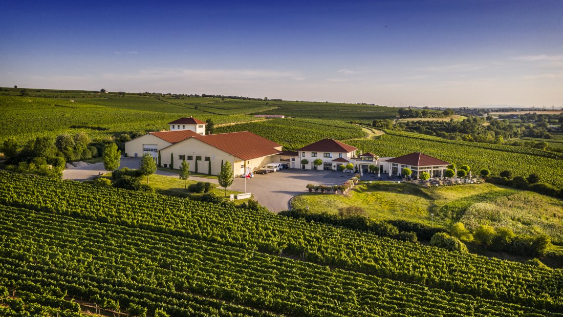 &copy; Weingut Raddeck