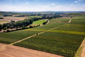 Bechtolsheimer Wingertstor