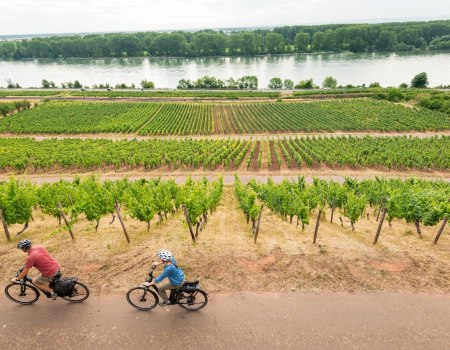 Radfahren am Roten Hang mit Blick auf den Rhein, &copy; Dominik Ketz