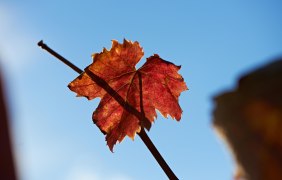 Herbst Impressionen &copy; Robert Dieth www.dieth.com