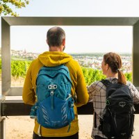 Panoramafenster an der Falkenbergh&uuml;tte 1 &copy; Rheinhessen-Touristik GmbH