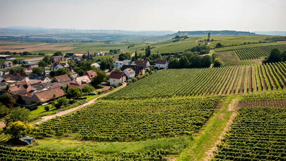 Vendersheimer Sonnenberg