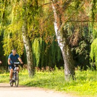 rheinhessen-2016-e-bike-055 © Dominik Ketz