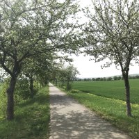 IMG_8476.2