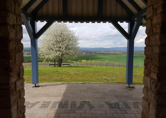 Schutzh&uuml;tte via vinea Ausblick &copy; Tourist Info Sprendlingen-Gensingen