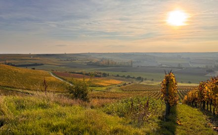 Herbstvibes auf der Hiwweltour Stadecker Warte, © Katja Zentel