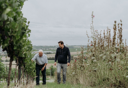 Braunewell Nachhaltigkeit, &copy; Weingut Braunewell
