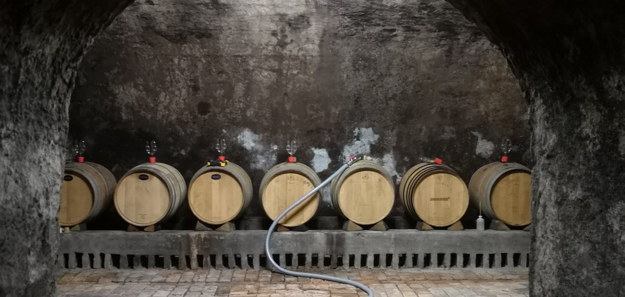 &copy; Weingut Dr. Alex Senfter