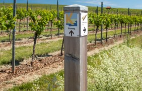 Wegweiser Küstenweg © Intensive Senses