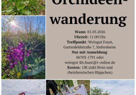 Flyer Orchideenwanderung