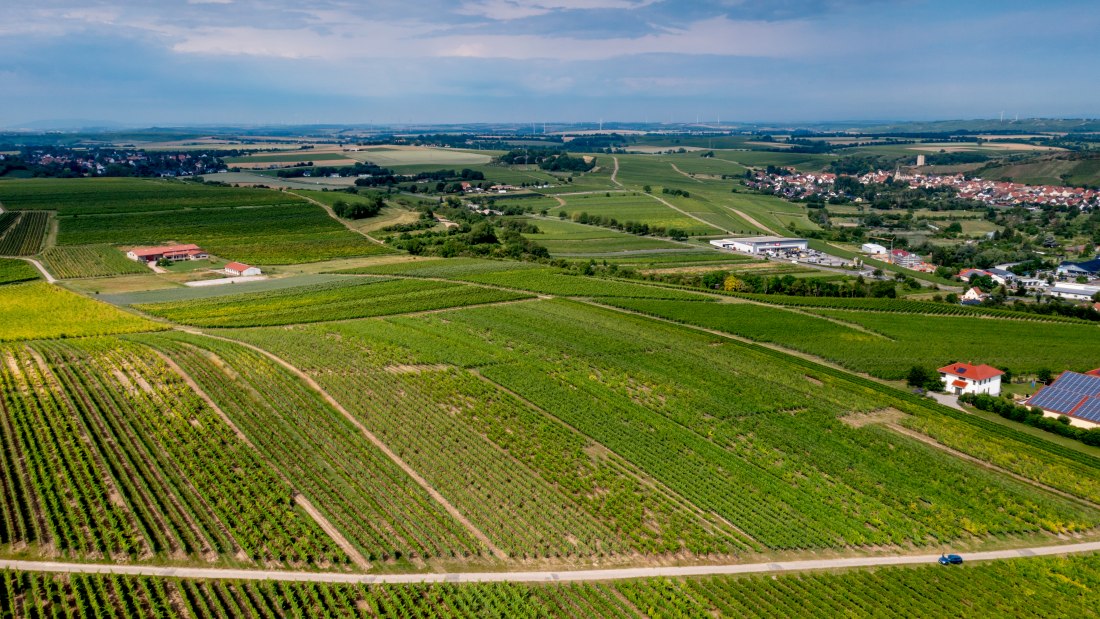 Niersteiner Parterberg-DJI_0227-173