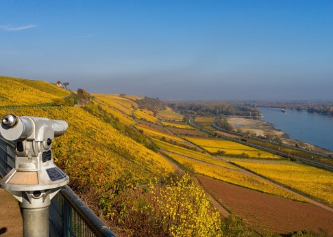 Herbstlicher Blick vom Roten Hang am RheinTerrassenWeg, © Karl-Georg Müller