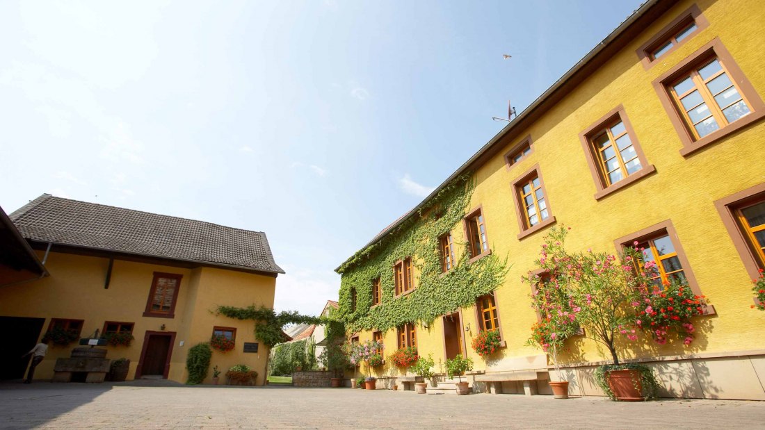 Weingut Julian Wolf_Hof 2, &copy; Weingut Julian Wolf