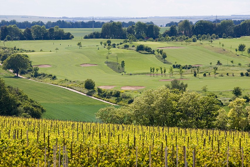 golf-Domtal, &copy; Weingut Becker