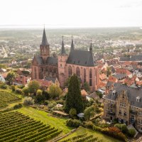 Die Katharinenkirche in Oppenheim &copy; Dominik Ketz