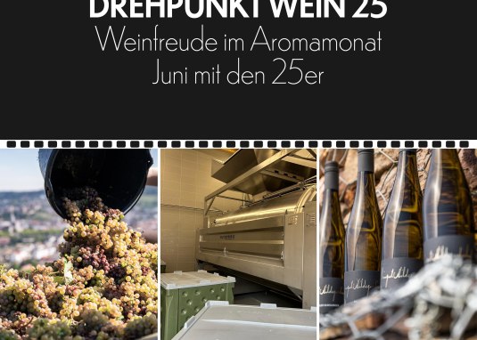 Drehpunkt1 &copy; Weingut Hildegardishof