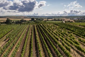 Lörzweiler Königstuhl