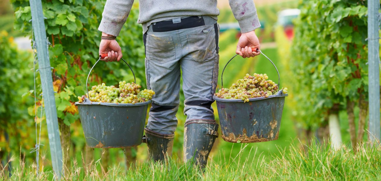 &copy; Weingut Achenbach