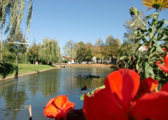 Woog in M&ouml;rstadt &copy; VG Monsheim