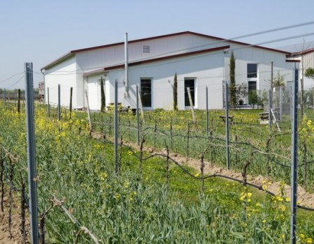 &copy; Weingut Kiefer