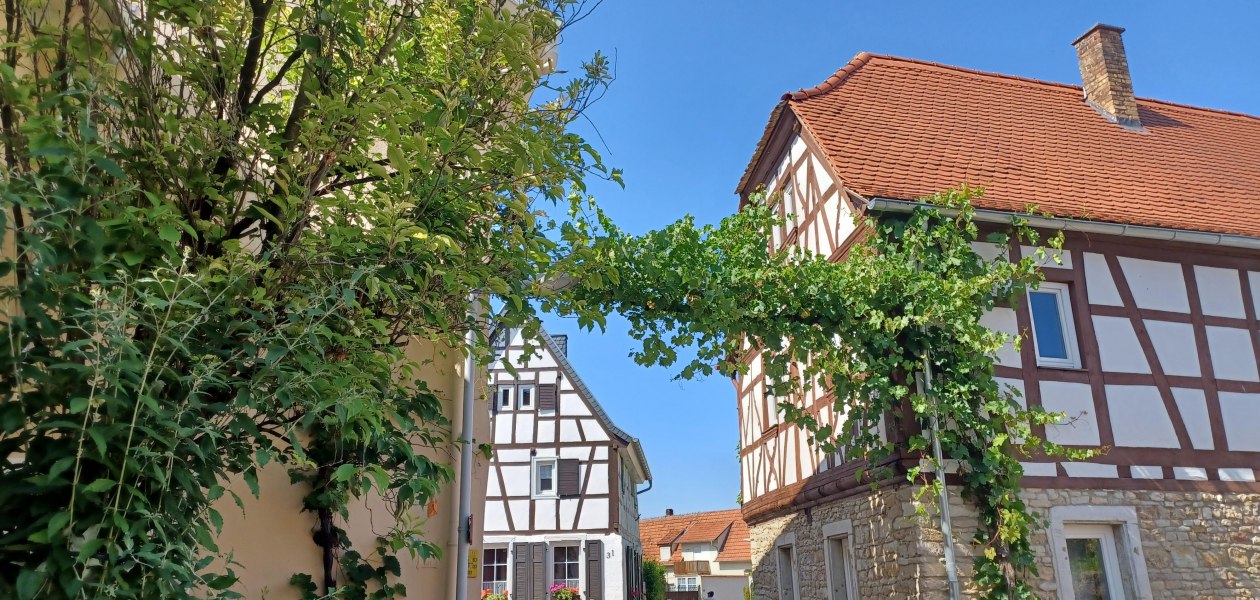 Albig Fachwerkhaus, © TI Alzey