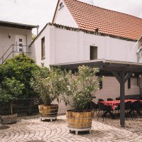 WeingutPetershof006