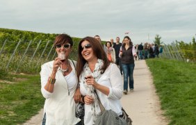 Weinprobe  am Weinlehrpfad &copy; Martin K&auml;mper/Rheinhessenwein e.V.