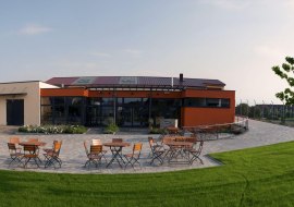 Schneider_MZ-Hechtsheim_vinothek