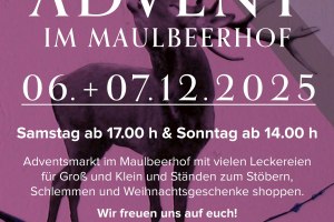 Advent im Maulbeerhof