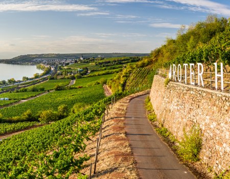 rheinhessen-2020-358, &copy; Dominik Ketz