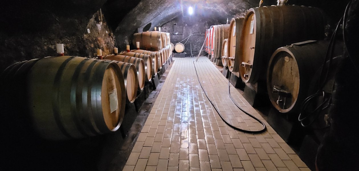 &copy; Weingut B&uuml;rgermeister Carl Koch