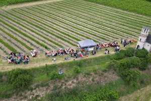 Weinausschank, &copy; Johanna Kratz