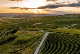 Ensheimer Kachelberg