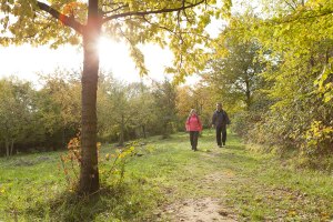 Hiking through the Sesselbachtale at Guntersblum, &copy; Michael Zellmer