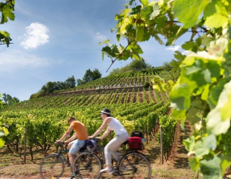 Radeln an der ber&uuml;hmten Weinlage "Roter Hang", &copy; Georg Knoll