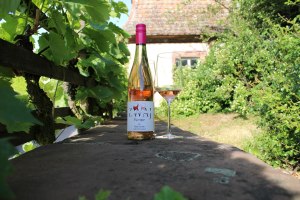 ZWAJ Weine M&ouml;lsheim, &copy; ZWAJ Weine