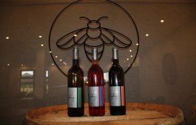 Weinprobe_Weingut am Honigberg &copy; Familie Best