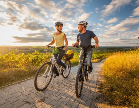 Ontdek Rheinhessen per fiets, &copy; &copy; Dominik Ketz