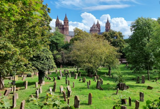 Jewish cemetery &ldquo;Heiliger Sand&rdquo; Worms, &copy; CCO 4.0