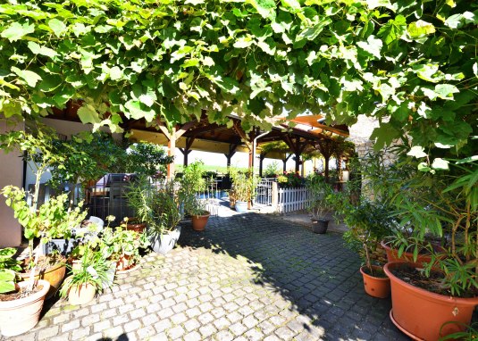 Weinlaube Lich &copy; Weingut Lich