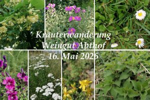Kr&auml;uterwanderung Abthof, &copy; Martin Koch
