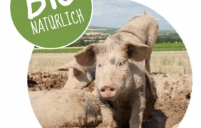 Bio-Schweinothek &copy; M. Bornheimer-Schwalbach