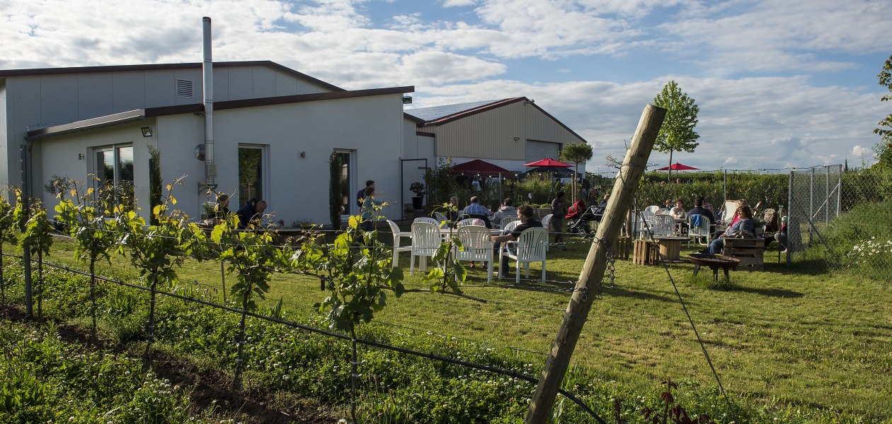 &copy; Weingut Kiefer