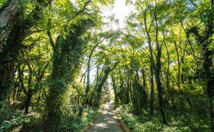 Rheinhessen-2016-E-Bike-059