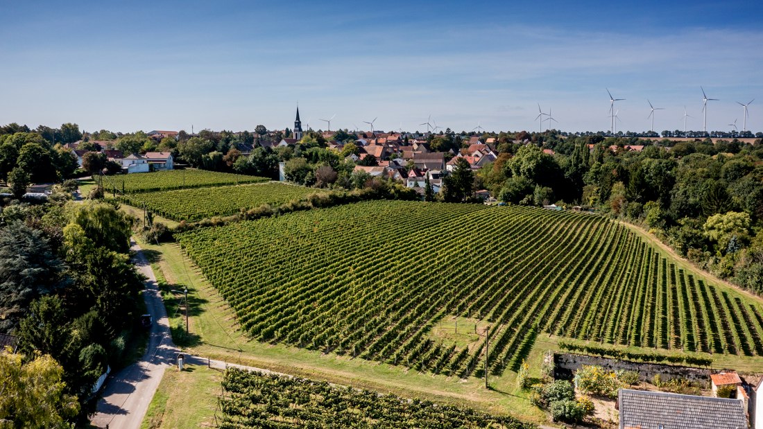 Flomborner Feuerberg