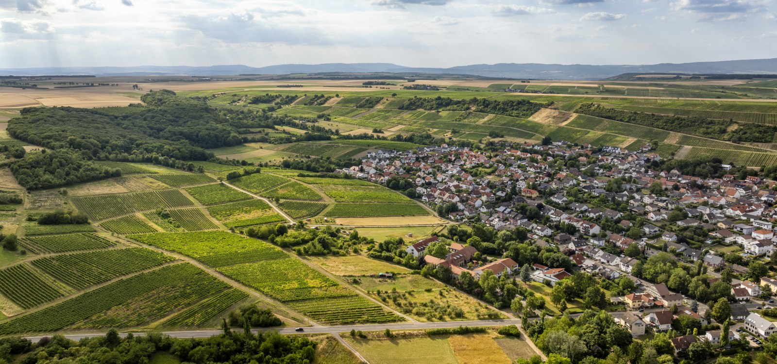 Partenheimer Sankt Georgen-053 Kopie