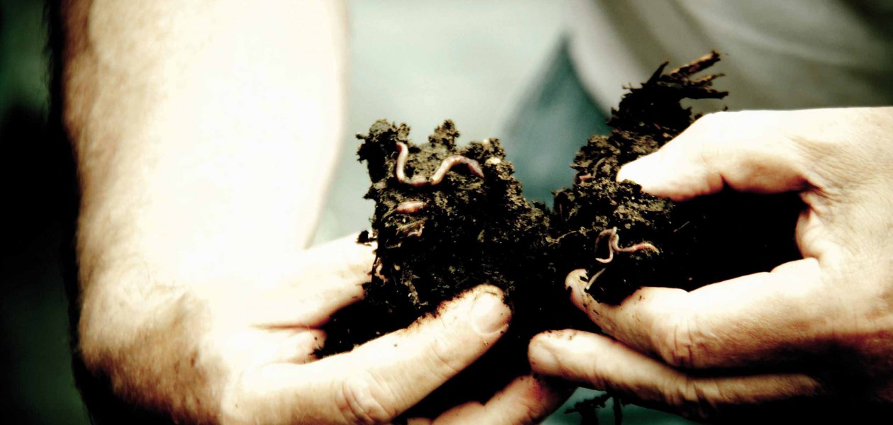 Compost Internet, &copy; Weingut Espenhof