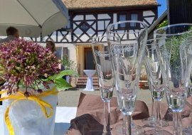 Fr&uuml;hjahrspr&auml;sentation