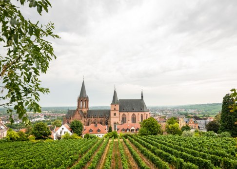 Blick auf die Katharinenkirche vom RheinTerrassenWeg, © Dominik Ketz